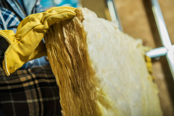 Best Insulation Maintenance and Repair in Gravette, AR